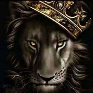 Meet your Posher, Jerome